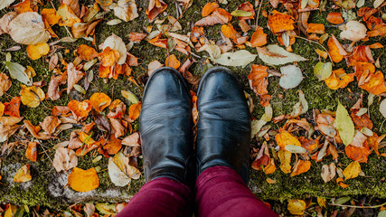 shoes of a woman standing in the fall on golden leaves