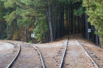 railway in the forest