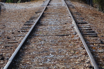 railroad into distance