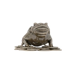 Money frog on a white background. Isolate.