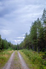 Fototapeta na wymiar Finland. View of a scenic road passing through a forest. Beautiful Scandinavian landscape.