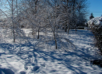 frost sun and first snow