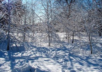 snow fell only in February