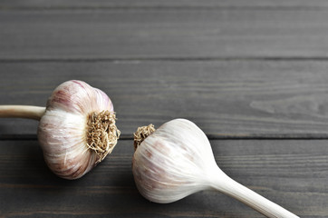 Two dry fresh organic garlic bulbs on wooden table background, copy space