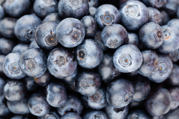 Fresh blueberry background. Texture blueberry berries close up.