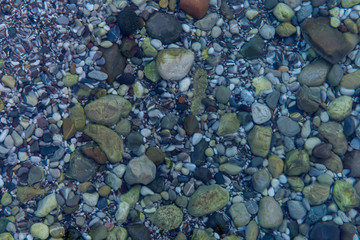 Sea stones under clear water