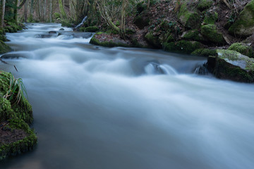 ruisseau 
