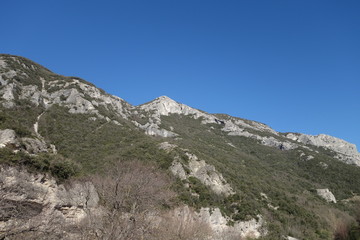 Monte Nerone