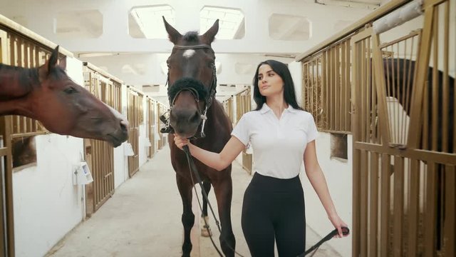 Woman walking with horse holding bridle.