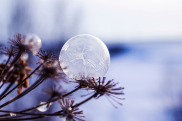 Frozen soap bubble closeup on dried grass. Frosty patterns on the surface of the bubble. Image in...