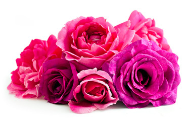 Bouquet of pink rose flowers isolated on a white background.