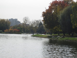 Fototapeta na wymiar autumn park with a pond