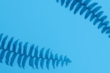 Color of the Year 2020 classic blue background with leaves and free space