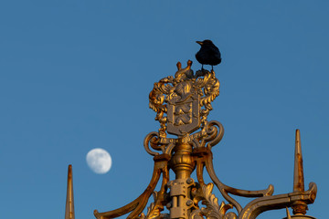 Fototapeta na wymiar black bird sitting on ornate lamp post in Brighton with the moon as a backdrop