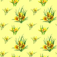 Watercolor spring flowers crocuses yellow and purple. Seamless pattern