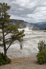 Yellow Stone Nationalpark Wyoming Mammoth Hot Springs