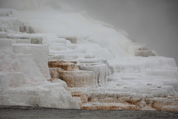 Yellow Stone Nationalpark Wyoming Mammoth Hot Springs