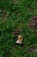 Fototapeta premium Old rusty soft drink can lying in a meadow. Concept of ecology.