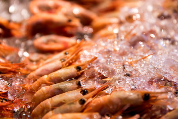 Fresh shrimp at the fish market close-up