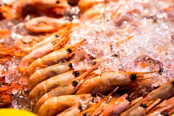 Fresh shrimp at the fish market close-up