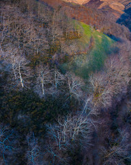 Winter landscape in Rucabao, Vega de Pas, Valles Pasiegos, Cantabria, Spain, Europe