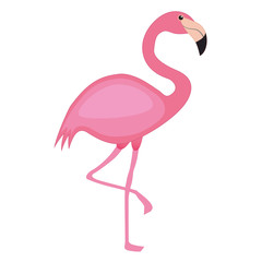 Cute pink flamingo cartoon vector illustration. A hand drawn design on isolated white background. Eps 10 vector format, with printable cmyk colors.