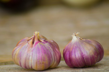 Beautiful large garlic, close-up photo.
