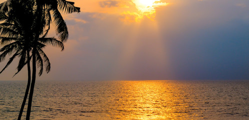 Golden sunset over the ocean and coconut tree.