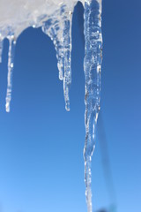 icicles on bright blue background