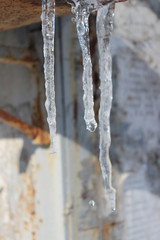 melting icicles on the roof