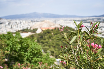 Views of the city of Athens in Greece