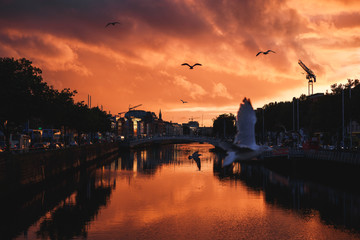 Dublin's cityscape during a colorful sunset with clouds and seagulls over Liffey river