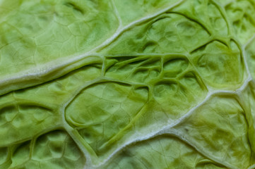 Wirsingkohl, Textur, Hintergrund, Makro 
