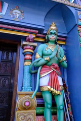 Fototapeta na wymiar monkey in temple