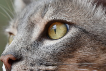 mirada profunda