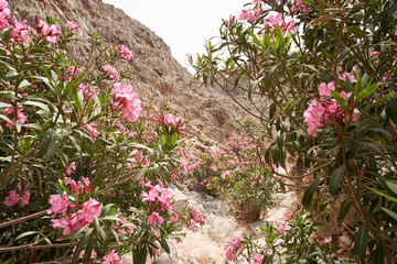 Seitan limania or Agiou Stefanou, the heavenly beach with turquoise water. Chania, Akrotiri, Crete, Greece.