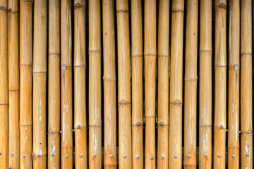 yellow bamboo wood fence from natural
