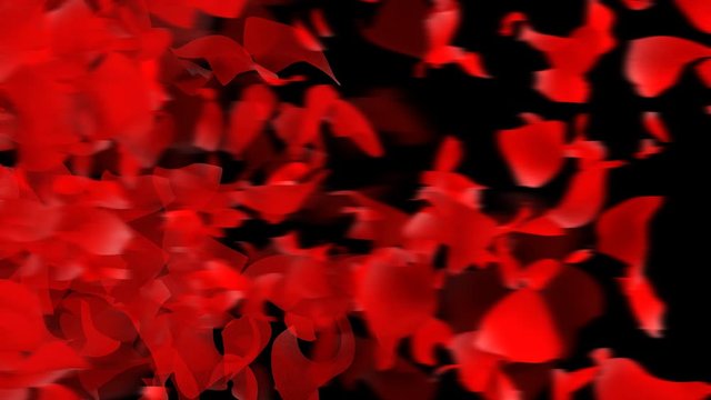4K animation  - Red rose petals screen transition horizontal and Diagonal with alpha channel.Elements for Valentines Day or Wedding.3D render