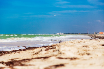 paisaje