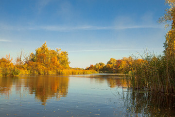 Beautiful autumn trees reflecting on the smooth water surface. Warm autumn day on the lake. River bank landscape.