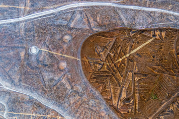 Surface of an frozen lake/pond. Close up.