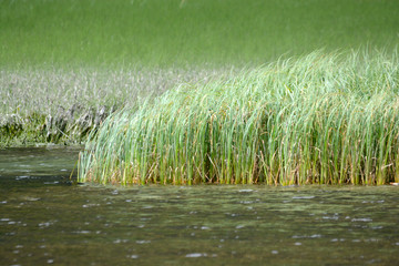beautiful landscape in northern Styria, Austria