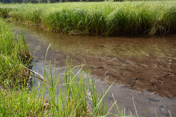 beautiful landscape in northern Styria, Austria