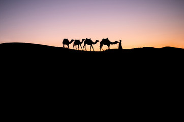 Fototapeta na wymiar Marokko Reise Hintergrund - Kamel Karawane in der Sahara Wüste