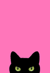 Black cat - Friday the 13th. freehand design. Good for scrap booking, posters, greeting cards, banners, textiles, gifts, T-shirts, mugs, phone wallpapers or other gifts. Curious cat hides and peeps. 