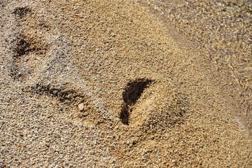 Footsteps on the beach. Children's footprint on the wet sand, selective focus. Clean beach with textured yellow sand and footprints. Footprint in the sand. Summertime. Vacation background 