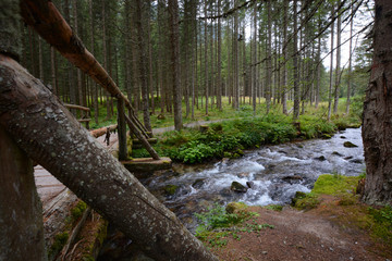 Fototapeta premium beautiful landscape in northern Styria, Austria
