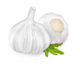 Isolated garlic. Head of dried garlic, one segment and parsley leaves isolated on white background