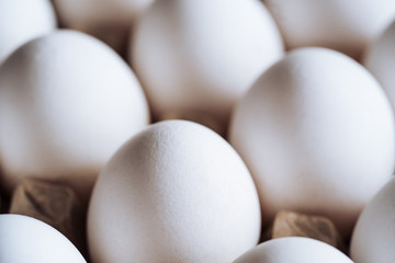 Home grown organic eggs in carton packaging. White eggs. Closeup