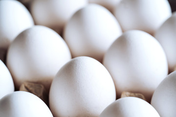 packing, box of white eggs isolated side view, closeup